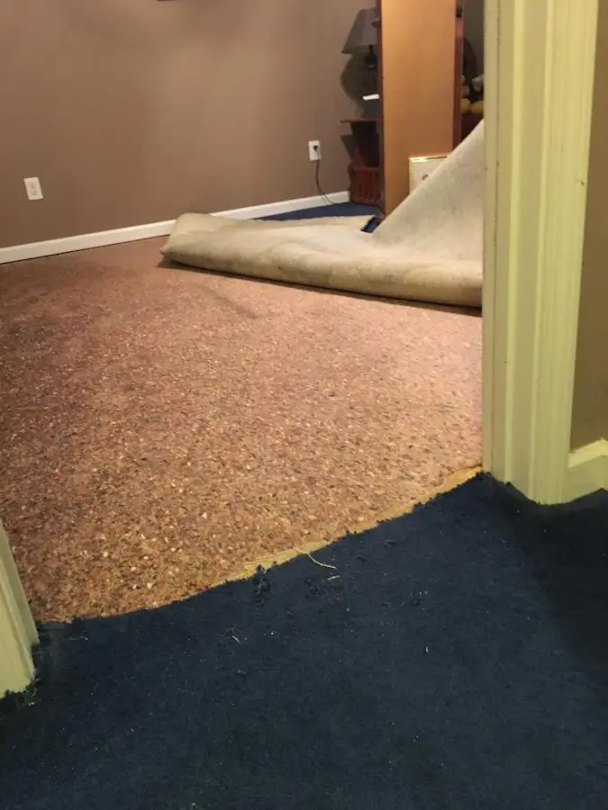 Carpet pad removal revealing water damage during Drying & Dehumidification in Bay Village