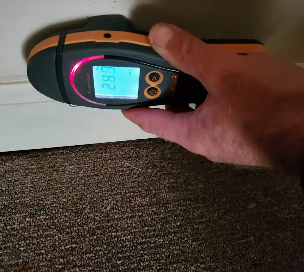 Moisture detection at baseboard during Sewage Cleanup & Sanitation in Bay Village